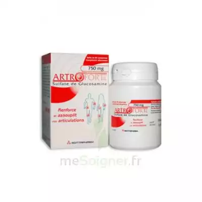 Artrofortil 750 Mg Comprimés Articulations B/60 à Mérignac